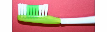 Adult Toothbrush Heads (Soft)