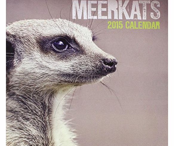 Carousel Calendars Meerkats Easel: Desk Calendar