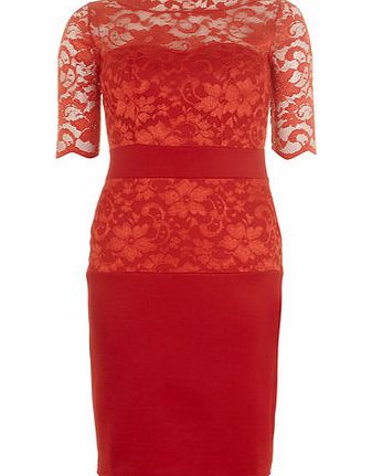 Dorothy Perkins Womens Fever fish Red Lace Scallop Dress- Red