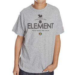 Element Boys Lion T-Shirt - Grey Heather