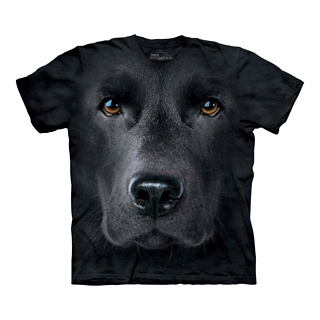 Firebox Big Face Labrador T-Shirt (Black Lab XL)