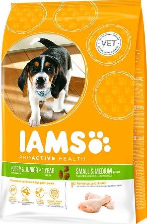 IAMS, 2102[^]0138523 Puppy/Junior Dog Small/Medium Breed