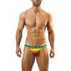 Joe Snyder rainbow shining bikini 01