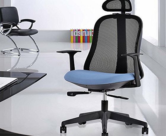 LIFE CARVER  Ergonomic High-Back Executive Mesh Chair Desk Armchair Lumbar Support Computer Office Chair With Adjustable Headrest (Black with Blue Seat)