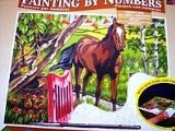 Oasis Reeves - Painting By Numbers Senior Acrylic Horse
