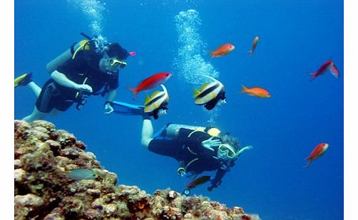 Scuba Diving - from Fethiye