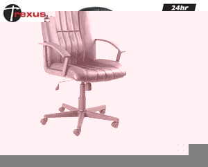 trexus Plus capital executive leather chair