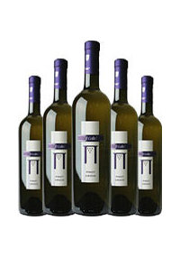Unbranded 2007 Pinot Grigio, Il Colle Unmixed 12-bottle case offer.
