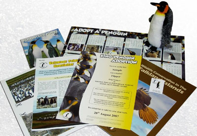 Adopt a Penguin with Falklands Conservation