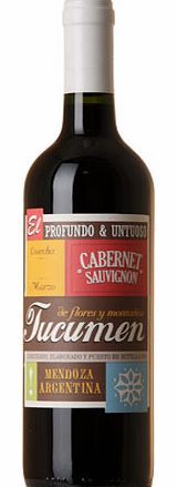 Unbranded Tucumen Cabernet Sauvignon 2013, Mendoza