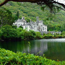 1 day Connemar and Galway Tour - Adult