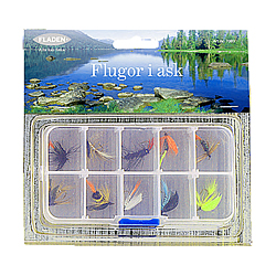 10 Assorted Flies in a Tackle Box