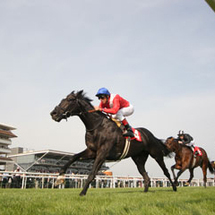 2 for 1 Winning Horse Racing Day - Voucher valid