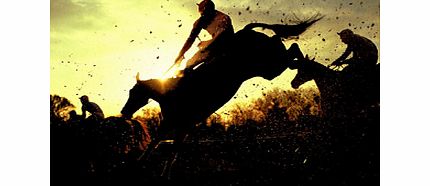 2 for 1 Winning Raceday Package Special Offer