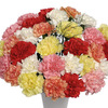 0 Classic Carnations