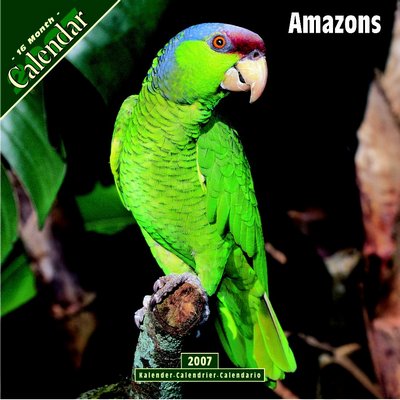365 Calendars 2006 Amazons 2006 Calendar