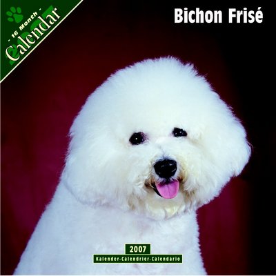 Bichon Frise 2006 Calendar