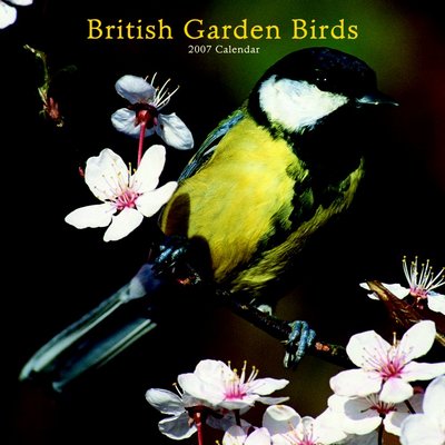 365 Calendars 2006 British Garden Birds 2006 Calendar