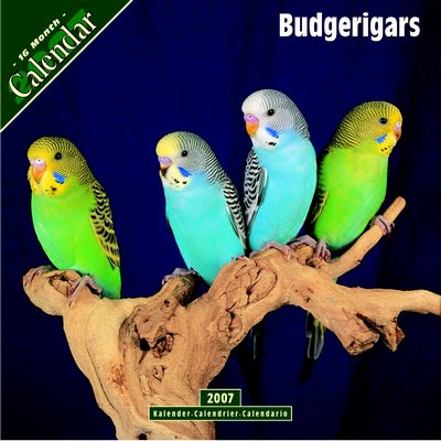 365 Calendars 2006 Budgerigar 2006 Calendar
