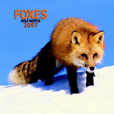 365 Calendars 2006 Foxes 2006 Calendar