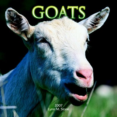 365 Calendars 2006 Goats 2006 Calendar