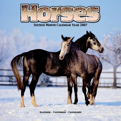 365 Calendars 2006 Horses 2006 Calendar