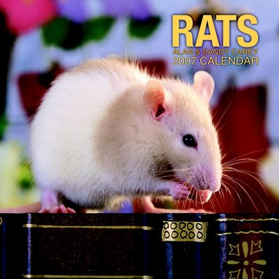 365 Calendars 2006 Rats 2006 Calendar