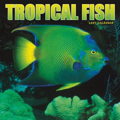 365 Calendars 2006 Tropical Fish 2006 Calendar
