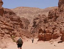 4 x 4 Desert Adventure Safari (Sharm el-Sheikh)