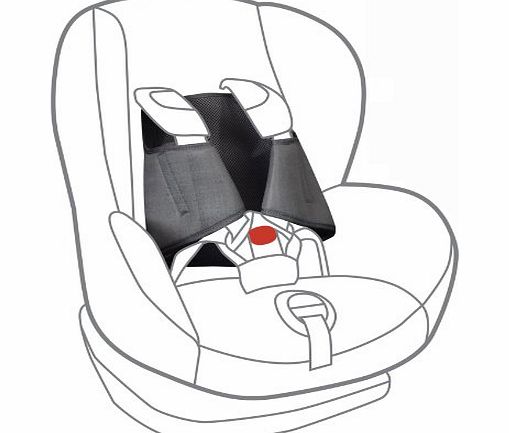 5 Point Plus Car Seat Anti Escape System 2.5-4 years old (Black)