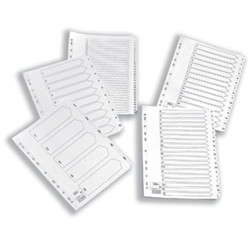 5 Star Premier Index Mylar 1-25 A4 Clear Ref