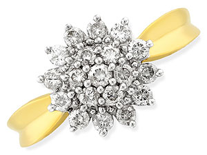 9ct gold and Diamond Cluster Ring 046062-L