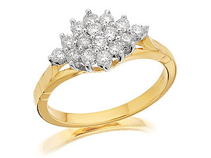 9ct gold and Diamond Diamond Cluster Ring 049204-L