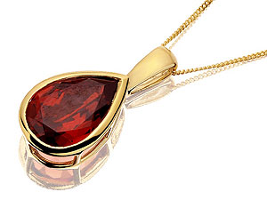 9ct gold and Garnet Pendant and Chain 188213