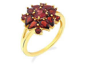 9ct gold and Garnet Ring 180317-M