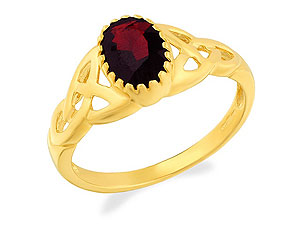9ct gold and Garnet Ring 180318-N