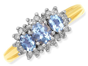 9ct gold Aquamarine and Diamond Cluster Ring 048402-L