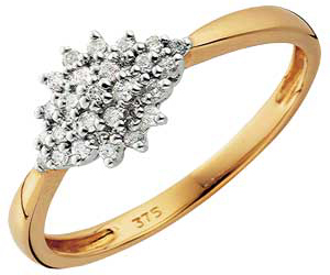 9ct Gold Diamond 15 Point Cluster Ring