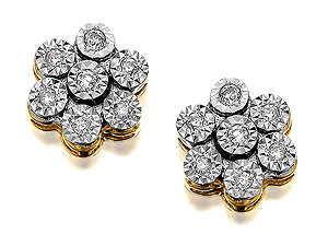 9ct Gold Diamond Daisy Cluster Earrings - 049671