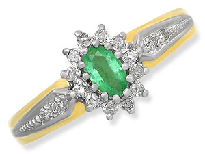 9ct gold Emerald and Diamond Cluster Ring 047631-K