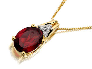 9ct gold Garnet and Diamond Pendant and Chain 045751