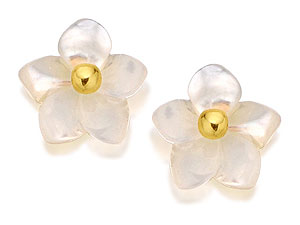 9ct Gold Mother Of Pearl Flower Earrings 8mm -