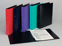 A D Class EXP A4 25mm green polypropylene two ring binder,