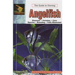 A Guide To Owning Angelfish: The Guide To Owning (Book)