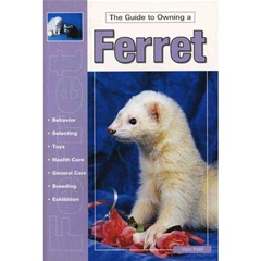 A Guide To Owning Ferret: A Guide to Owning (Book)