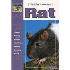 A Guide To Owning Rat: A Guide to Owning (Book)