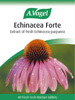 a.vogel echinacea forte 40 fresh herb tablets