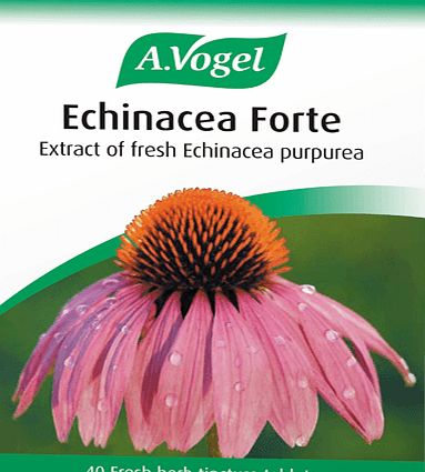 A.Vogel Echinaforce Forte 30 Tablets 044130