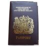 LEATHER PASSPORT COVER and#39;HOLIDAY1631and39;