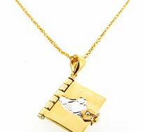 Gold Plated Claddagh Book Locket Pendant